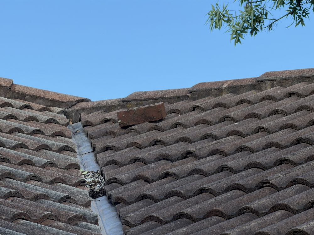 Roof Leak Repair Singapore: What Property Owners Should Know